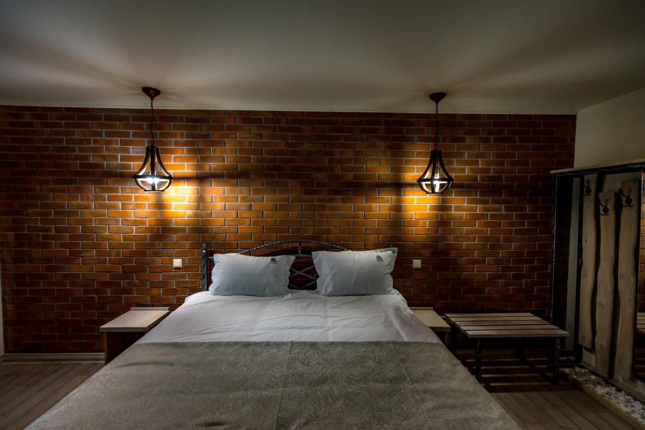 Casa Iustin Guest house *
