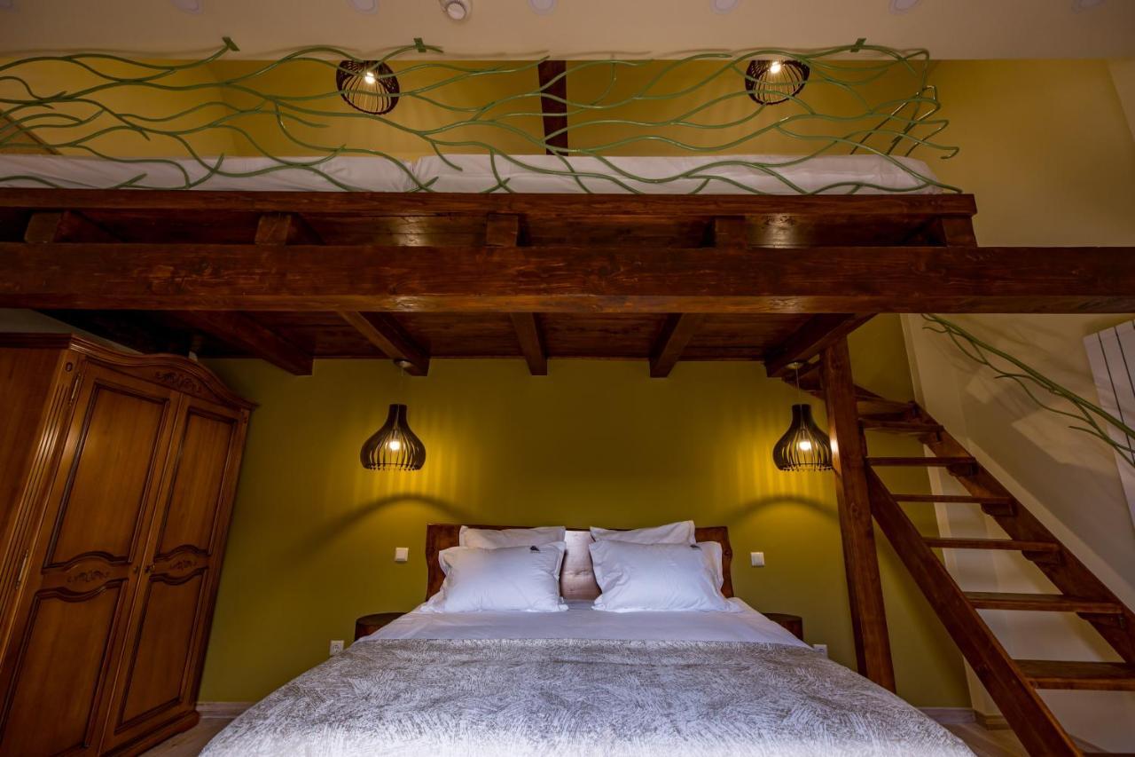 Casa Iustin Guest house *